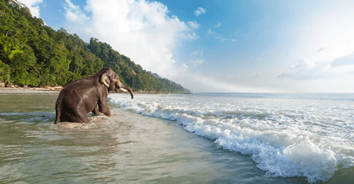 Andaman & Nicobar Islands
