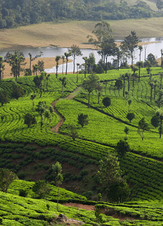 Kerala