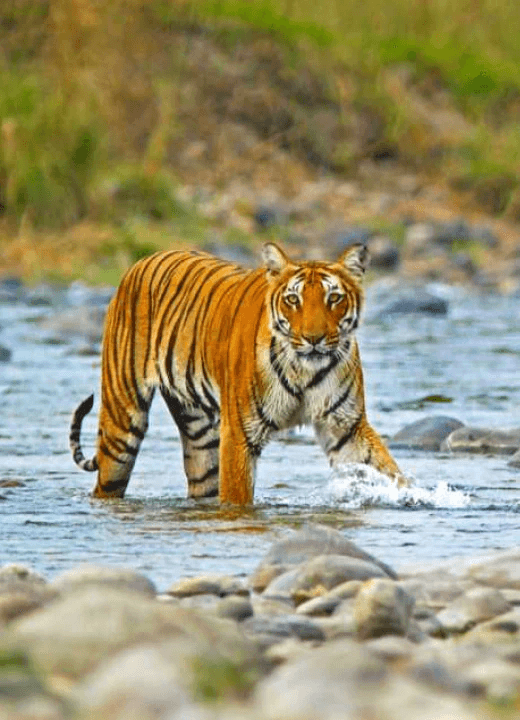 Uttarakhand
