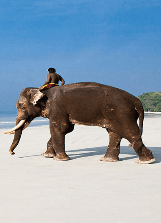 Andaman