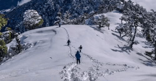 Jammu & Kashmir