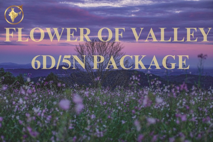 Valley Of Flowers