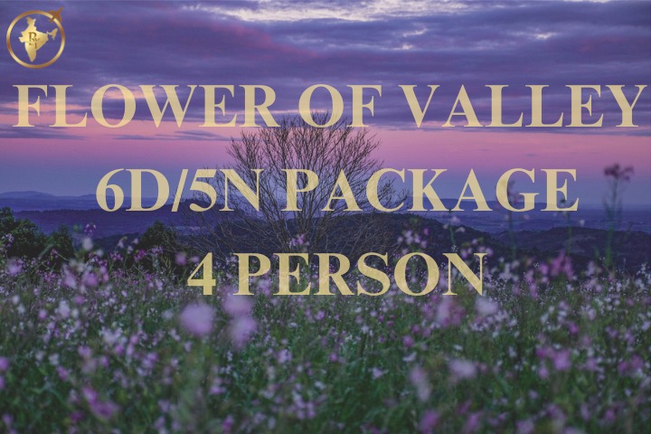 Valley Of Flowers
