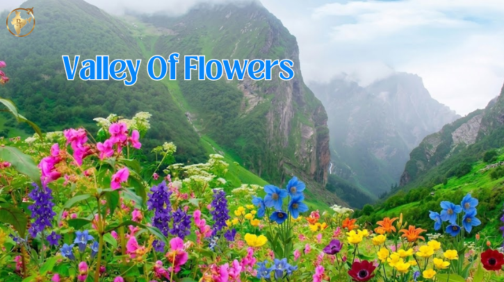 Valley Of Flowers